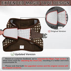AIITLE No Pull Dog Harness and Leash Set, Step in No Chock Soft Mesh Dog Harnesses Reflective for Extra-Small Puppy Dogs and Cats, Plaid Dog Vest Harness for Pets Chocolate XXS