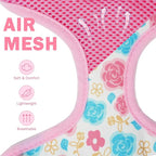 SCENEREAL Small Dog Harness Collar and Leash Set, Adjustable No Pull Pet Harnesses, No Chock Soft Mesh Step in Vest for Doggie Puppy Medium Dogs Cats Girl or Boy,Chihuahua, Yorkie, Outdoor Walking