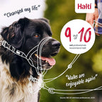 Halti Headcollar - Stop Your Dog Pulling on The Leash. Adjustable, Reflective and Lightweight, with Padded Nose Band. Dog Training Anti-Pull Collar for Medium Dogs (Size 2, Desert Sand)