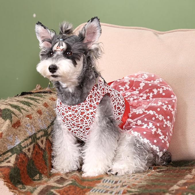 CuteBone Dog Christmas Dress Girl Puppy Birthday Skirt Tutu Cat Wedding Outfit Pet Party Clothes for Small Dogs Costume DD09M