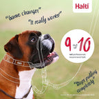 Halti Optifit Headcollar & Halti Training Leash Size Large, Black Combination Pack - Stop Your Dog Pulling on the Leash. Adjustable with Padded Nose Band. Suitable for Large Dogs