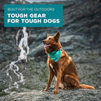 Wilderdog Dog Bandana with Lightweight Quick Drying Poly-Blend Mesh Material in Juniper