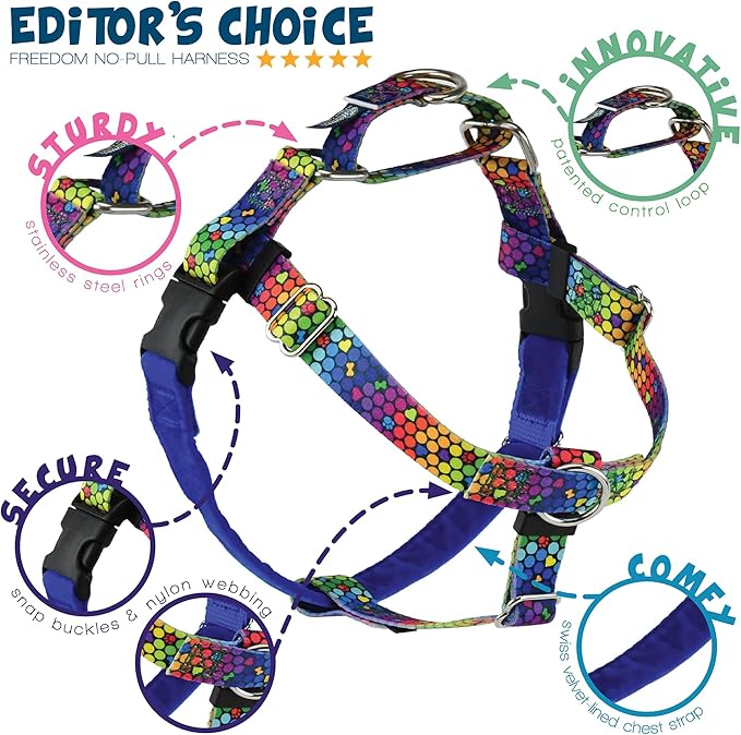 2 Hounds Design - Freedom No-Pull Harness & Training Leash in Blue and Rainbow | Dual Leash Loops, No Pulling on Walks | Lined to Prevent Chaffing | for Small Sized Dogs (Size S, Chest 20”- 24”)