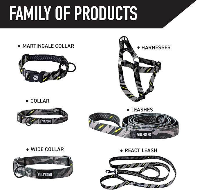 Wolfgang Heavy Duty Martingale Dog Collar with Quick Release Nylon Buckle for Walking & Training, DarkSkies Print, Medium