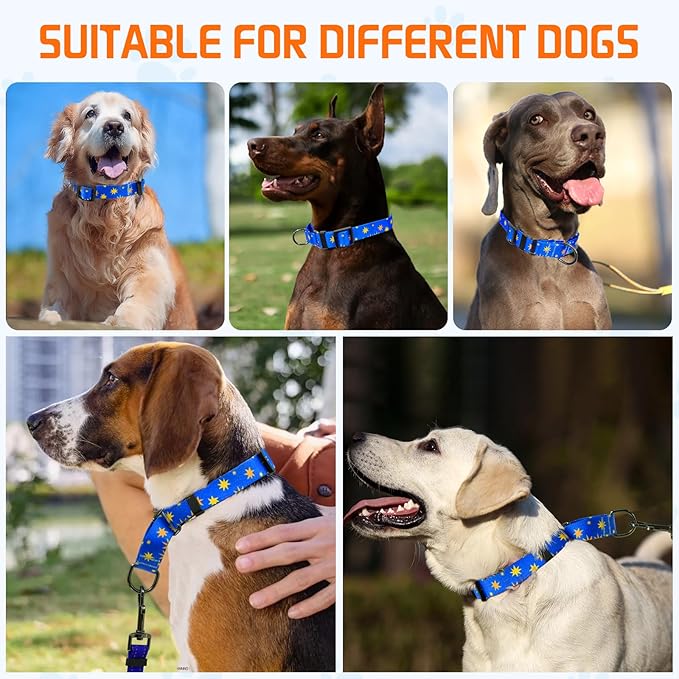Kazazoo Martingale Collar for Dogs with Quick Release Buckle Adjustable Soft Durable Dog Collar for Small Medium Large No Pull Training Dog Collars-Blue Sky L