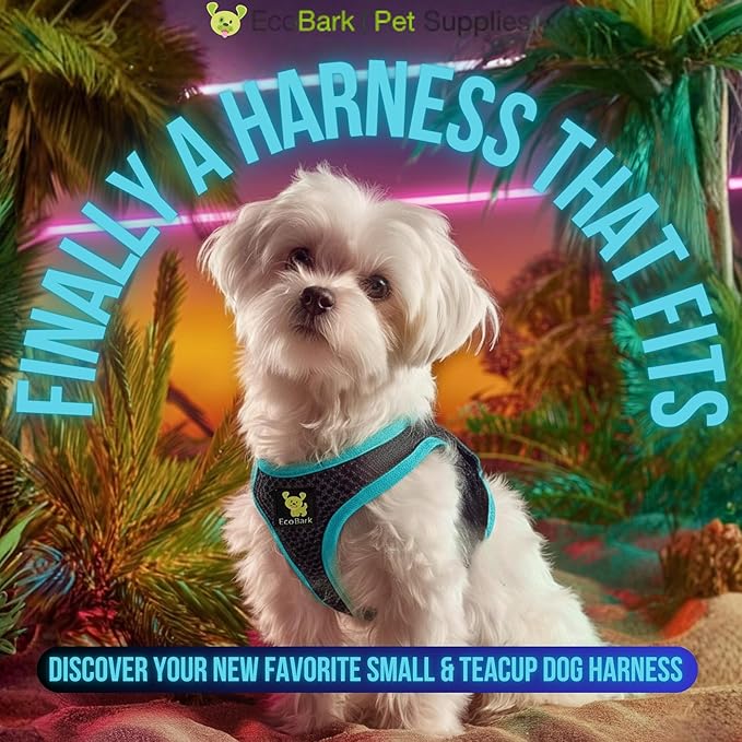 EcoBark Step in Dog Harness - Teacup Dog Harnesses for XXXS, XXS, XS and Small Dog Breeds - Reflective - Adjustable Mini Body Halter Vest - Tiny Soft Mesh Toy Breed (Black and Teal, XXXS)