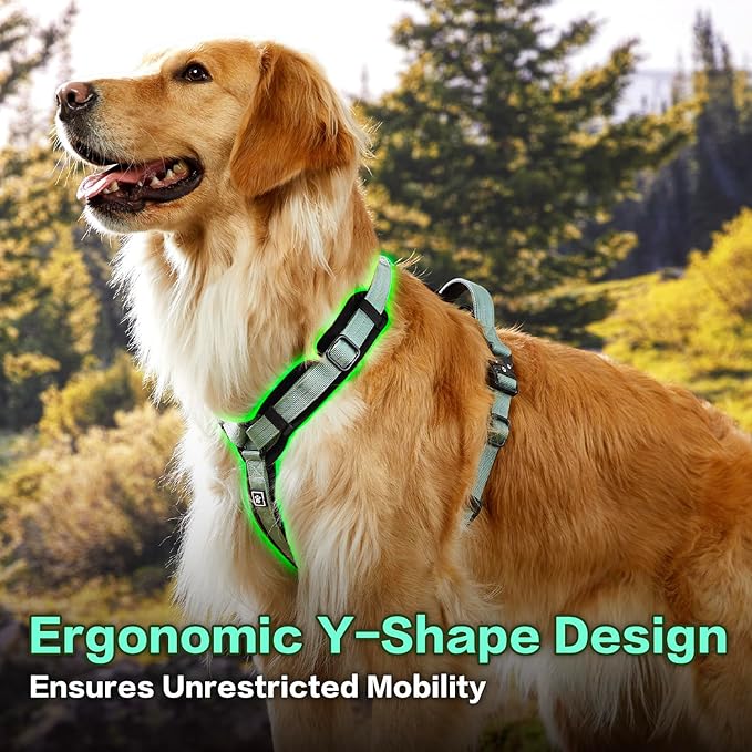 PawsPassion Dog Harness for X-Large Dogs, No Pull Dog Harness Easy Walk with Metal Hardware, Ergonomic Y-Shaped Design, Soft Padding, Padded Handle, Durable High-Tensile Nylon (Seabreeze, XL)