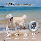 PATPET Dog Training Collar with Remote - 4200FT E Collars for Dogs Training for Large Medium Dogs, Rechargeable Waterproof Electric Dog Collar with 4 Training Modes & Night Lights