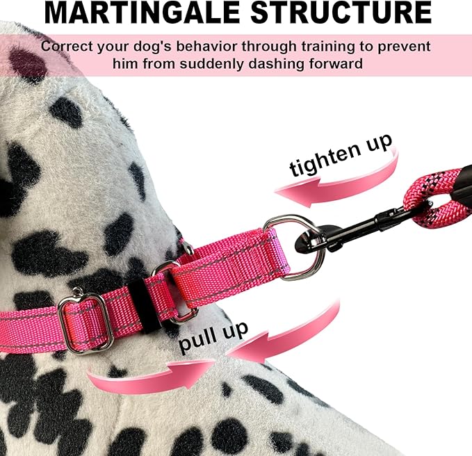Martingale Collar for Dogs,Reflective Martingale Dog Collars with Quick Release Buckle,Adjustable Nylon No Pull Dog Collar for Dogs Walking Training (Orange, Large)