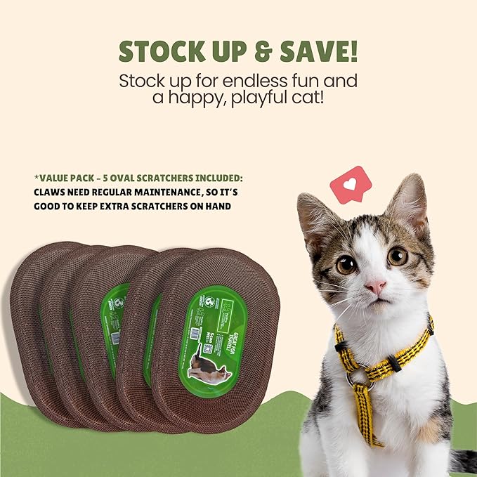 B Kitty Scratcher Cat Bed, Fun for Your Purr-FECT Feline (B-Scratcher Oval Pack x 5)