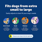 PetSafe Easy Walk Comfort No-Pull Dog Harness - Better Walk Training Harness - Full Body Padded Design - Durable Fabric - 5 Point Adjustable Fit - Everyday Leash Training - Blue - Large