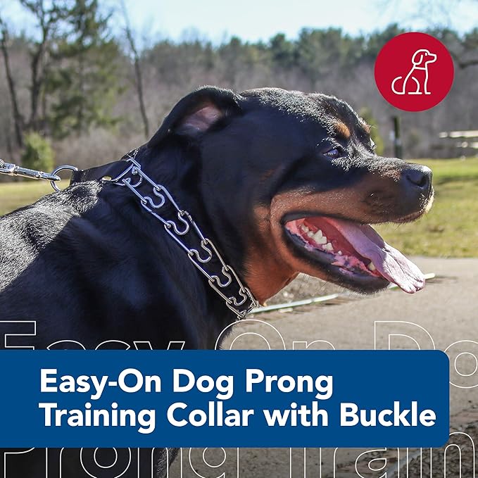 Coastal Pet Titan Easy-On Dog Prong Training Collar with Buckle - Durable Metal Training Collar for Dogs with Side Release Buckle - Black, 3 mm x 18"