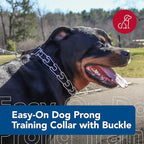 Coastal Pet Titan Easy-On Dog Prong Training Collar with Buckle - Durable Metal Training Collar for Dogs with Side Release Buckle - Black, 3 mm x 18"