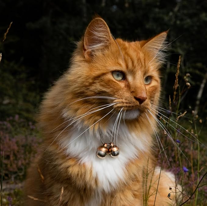 Beau's Bells 2 Extra Loud Cat & Dog Bells | Pet Tracker | Save Birds & Wildlife | Luxury Handmade Copper (Small)