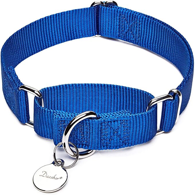 Martingale Dog Collar, No-Buckle Escape-Proof Design, Heavy-Duty Nylon and Welded D-Ring, Adjustable Training Collar for Medium Large Dogs (Royal Blue, L)