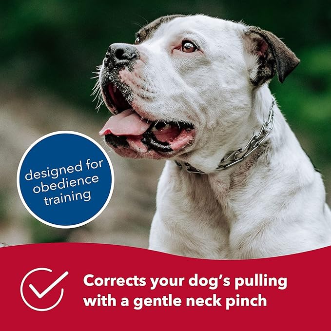 Herm Sprenger Easy On Prong Training Collar with Center-Plate and Assembly Chain | Stainless Steel Training Collar for Dogs | Made in Germany - 3.2 mm, 24"