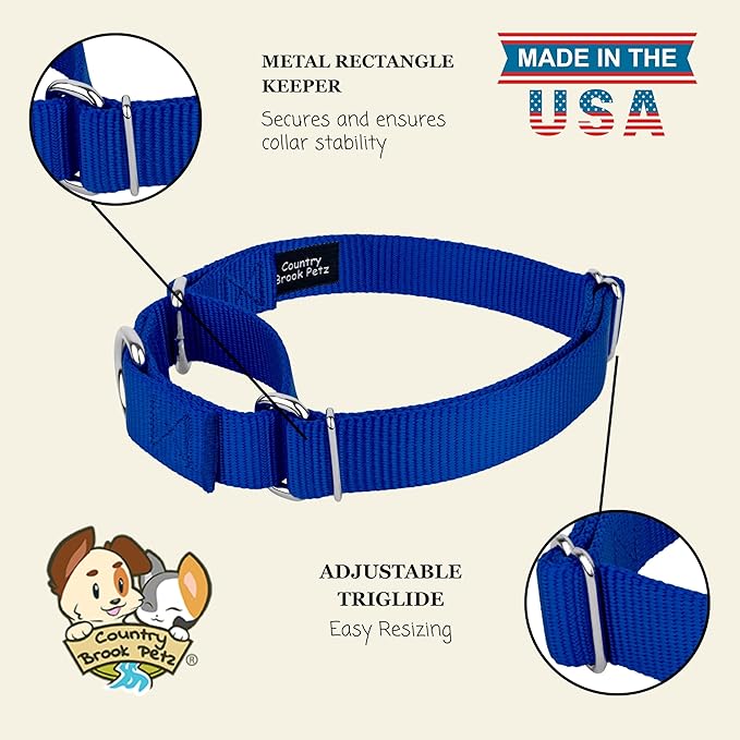 Country Brook Petz - Martingale Dog Collar - Heavy-Duty Training Collar with No Buckle - Service Dog Collar for All Pups - 10+ Cool Colors (Royal Blue, 5/8 Inch, Extra Small)