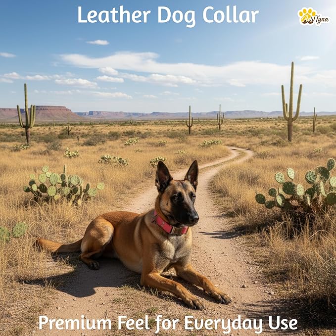 ADITYNA Red Leather Dog Collar with Metal Buckle - Heavy-Duty, Adjustable for Medium & Large Dogs (Red, Fits 15-21" Necks)