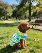 PET SHOW 4 Pack Summer Dog Shirts for Small Doggies Boy UPF 50+ UV Sun Protection Cooling Clothes Tank Top Shark Puppy Kitten Cats T-Shirts Pet Holiday Party Sleeveless Vest Blue(Small)