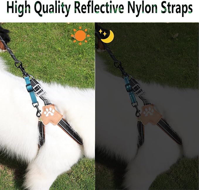 2 Pcs Dog Collar Safety Clips with Double Ended Clasps | Adjustable Collar Backup Clip for Dog Harness & Collars Connectors, Training for Walking, Running, and Hiking, Safety Clip - Blue
