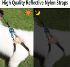 2 Pcs Dog Collar Safety Clips with Double Ended Clasps | Adjustable Collar Backup Clip for Dog Harness & Collars Connectors, Training for Walking, Running, and Hiking, Safety Clip - Blue