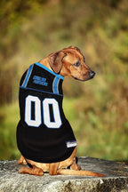 Carolina Panthers Pet Striped Jersey