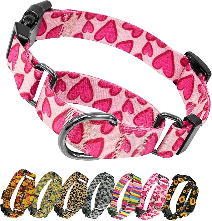 Kazazoo Martingale Collar for Dogs with Quick Release Buckle Adjustable Soft Durable Dog Collar for Small Medium Large No Pull Training Dog Collars-Hot Pink S