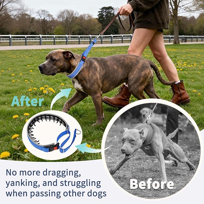 Mayerzon Martingale Dog Collar for Pulling, Patented No Pull Training Walking Collar with Buckle for Medium Large Dogs Bulldog Pitbull German Shepherd, Reflective, Adjustable(M, Dark Blue)
