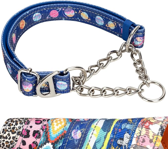 Safe Choke Chain Dog Collar - No-Slip Martingale Anti-Pull Training Collar, Adjustable with Blue Galaxy Planet Design for Medium, Large, XL Dogs (Medium)