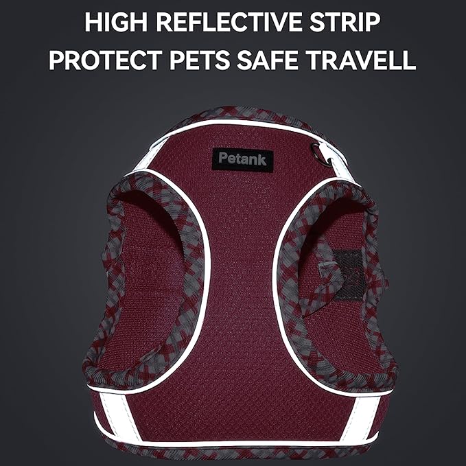 Petank Dog Harness for Small Medium Dogs No Pull, Puppy Harness and Leash Set for Walking, Running, Training, Small Dog Harness, Medium Dog Harness (Brown, XXS)