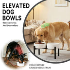 Dog Bowls Elevated - Ceramic Raised Dog Bowl with Non Slip Steel Stainless Stand - No Spill and Heated Feeding Station - Food and Water Dish Set for Medium to Large Pet - Each Holds 7.5 Cups – Grey