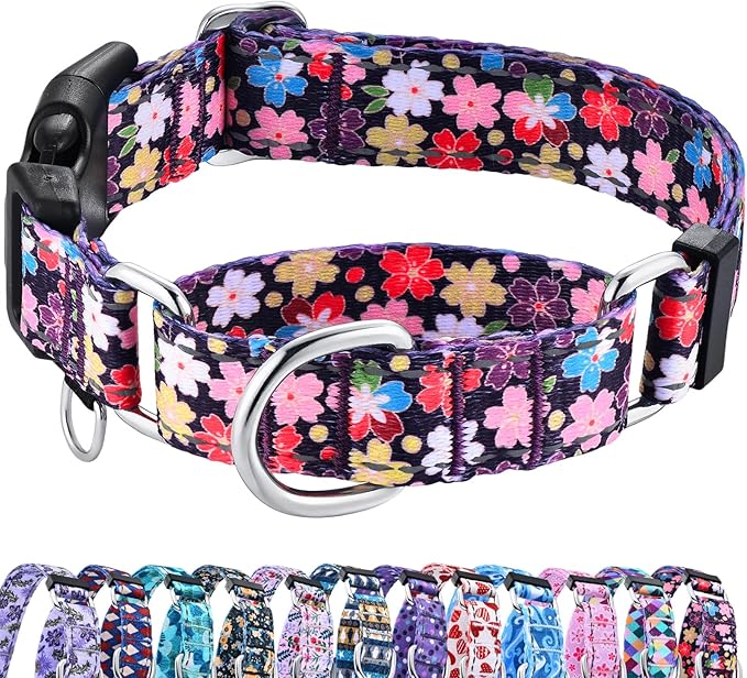 Reflective Martingale Collar for Dogs with Buckle Pretty Fancy Female Floral Dog Collars (Japanese Blossoms, Large)