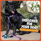 2 Hounds Design - Freedom No-Pull Harness & Training Leash in Pink and Purple | Dual Leash Loops, No Pulling on Walks | Lined to Prevent Chaffing | for Large Sized Dogs (Size M, Chest 24”- 28”)