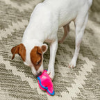Outward Hound Durablez Minis – Squeaky Plush Dog Toy, No Stuffing for Less Mess, Interactive & Tough, Jumbo Squeaker, Puppies & Small Dogs, Pig, 6.8"