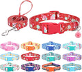 Dog Collar with Leash Airtag Holder Case Set - Dog Collars for Male Female Boy Girl Puppy X-Small Small Medium Large Dogs Walking Running Training - Red Daisy/S