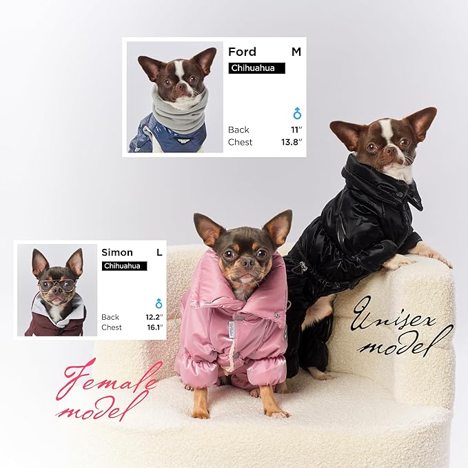 Winter Dog Coat for Female Pups with Full Belly Coverage, Girl Dog Clothes, Snow Jacket for Dogs, Snowsuit, Winter Coat for Dogs for Cold Weather, Ideal for Small Medium Dogs (X-Large)