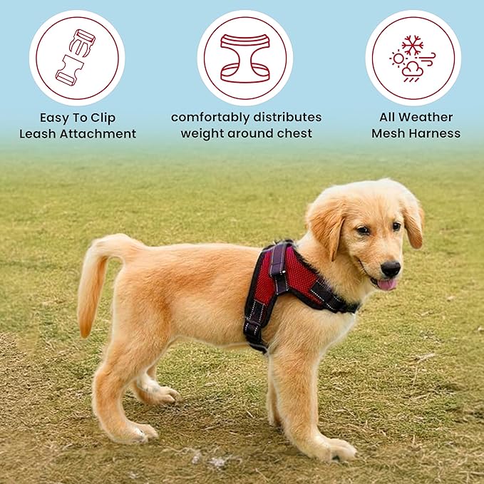 No Pull Reflective Adjustable Dog Harness with Handle- Comfortable Soft All Weather Mesh, Easy On Puppy Harness for Small Medium and Large Dogs (Red) Large