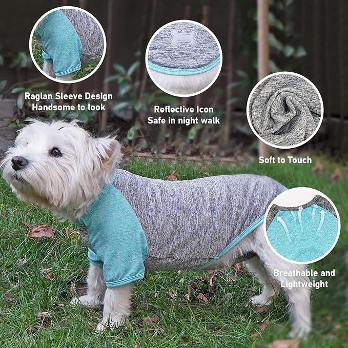 KYEESE 2Pack Dog Shirt with Sleeves, Lightweight Sun Protection Dog T Shirts for Small Dogs Boy, Breathable Pet Tank Top Reflective Dogs Clothes for Summer Outdoor Walking, Grey+Lake, M