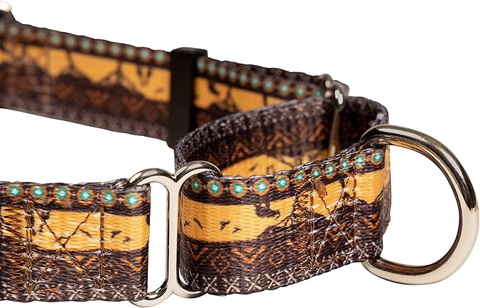 Downtown Pet Supply - Martingale Collar for Dogs - Dog Training Collar - Big, Wide & Thick Dog Collar - Escape-Proof, Weatherproof, Durable and Comfortable - Sahara - Large Dog Collar