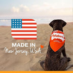 Nylabone Puppy Chew Teething Bone, Soothing Chew Toys for Teething Puppies, Puppy Enrichment, Chicken Flavor, Small Dogs - Up to 25 Ibs., 1 Count
