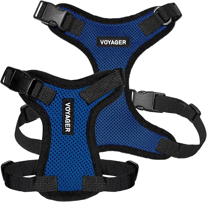 Voyager Step-in Pet Harness - All Weather Mesh, Adjustable Step in Harness for Cats and Dogs by Best Pet Supplies - Royal Blue/Black Trim, S