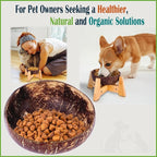 Raised Dog Bowl for Small Dogs - Elevated Natural Coconut Shell Bowl with Wood Stand - Around 20-oz Capacity - Suitable of Wet and Dry Dog Foods