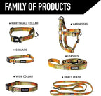 Wolfgang Heavy Duty, Adjustable Dog Collar with Quick Release Nylon Buckle for Walking & Training, CutBow Print, Small