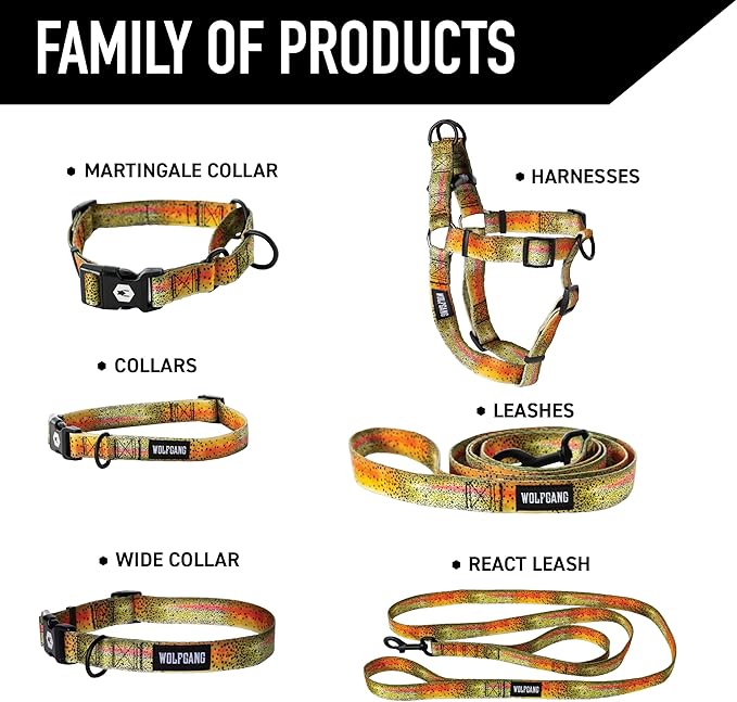 Wolfgang Heavy Duty, Adjustable Dog Collar with Quick Release Nylon Buckle for Walking & Training, CutBow Print, Small