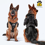 Forestpaw Tactical Dog Harness for Large Dogs,Tactical Dog Collar with Bungee Leash Set,No Pull Military Dog Harness for Walking Training,Adjustable for Medium Large Dogs,Black,Chest 21.5-45"