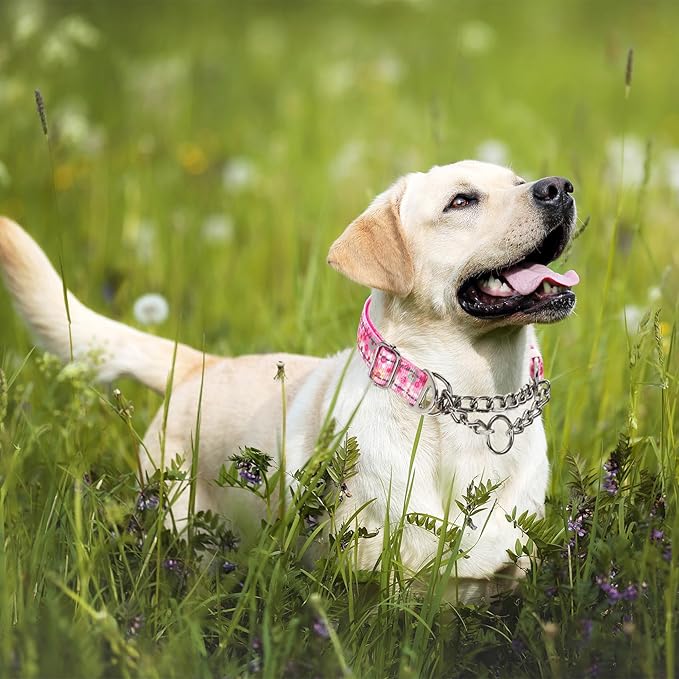 Reflective Martingale Dog Collar with Soft Padded,Adjustable Heavy Duty Choke Steel Chain Big Dog Training, Walking, Hunting Collar for All Breeds (Pink Flowers M)