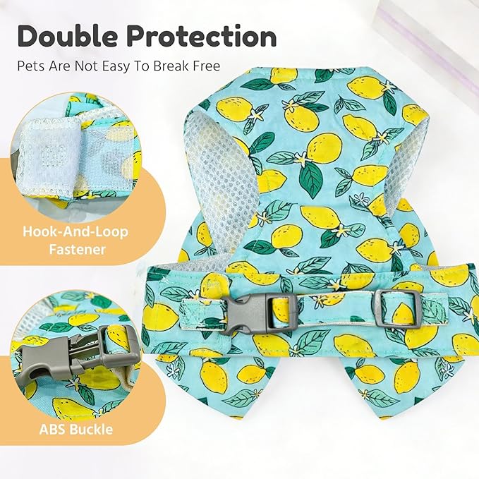 BAEJMJK Dog Harness and Leash Set with Bow Knot No Pull Pet Daisy Floral Harness with D-Ring Soft Mesh Dog Harness Vest Set Escape Proof Princess Puppy Harness for Small Girl Dogs Cats（Green S）