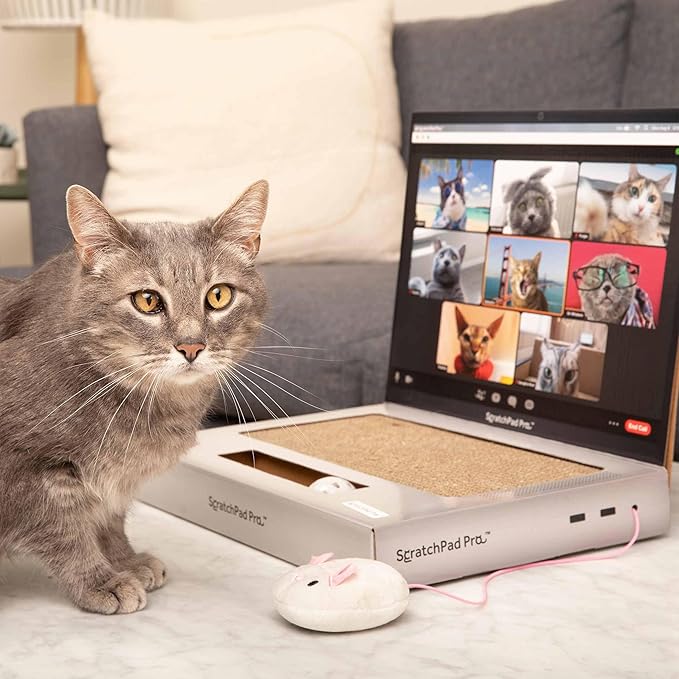 ScratchPad Pro — Cardboard Laptop Cat Scratcher, Interactive Cat Toys for Indoor Cats, Kitten Supplies and Cat Stuff by Relatable