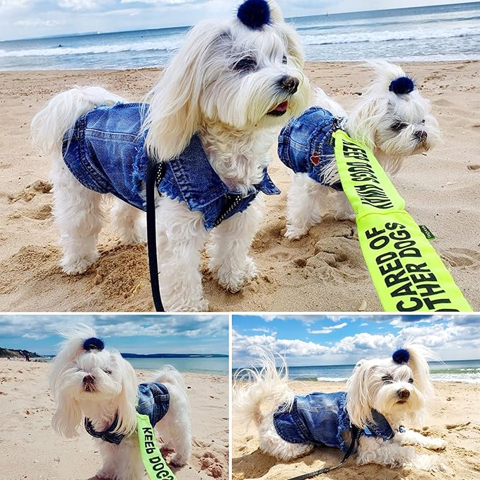 Dog Jean Jacket, Blue Denim Lapel Vest Coat T-Shirt Costume, Cute Girl Boy Puppy Clothes, Comfort and Cool Apparel, for Small Medium Dogs Cats, Machine Washable Dog Outfits (XS, Blue)