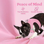 rabbitgoo Small Dog Harness, Step-in Soft Mesh Puppy Vest with Safety Buckle, Breathable Reflective Pet Harness for Extra Small Dogs, Light Pink XXXS